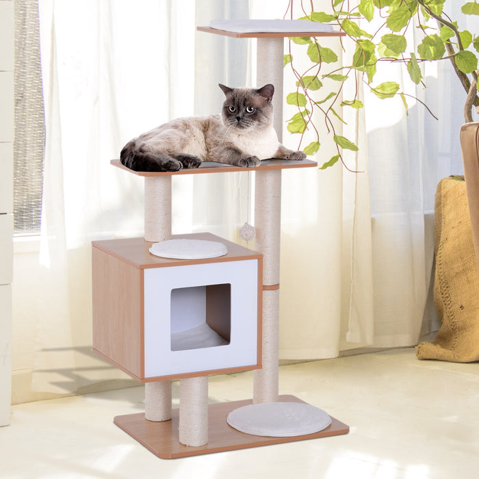 Kitty House