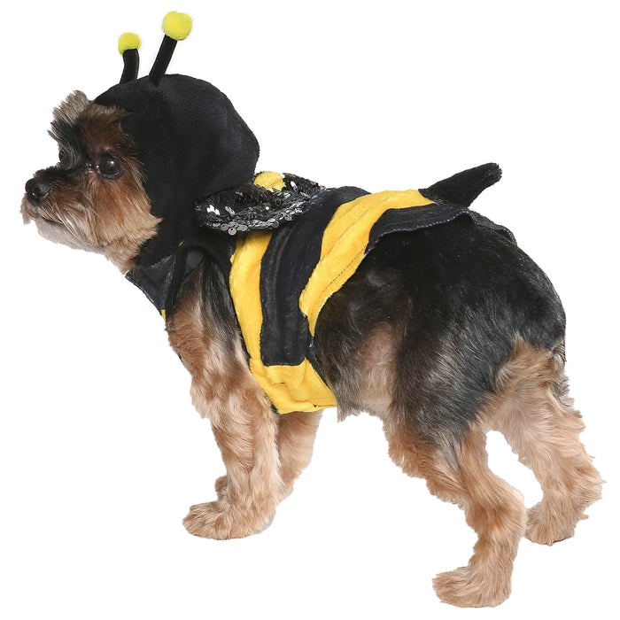 Halloween Dog Costume
