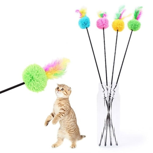 Interactive Toy Bird
