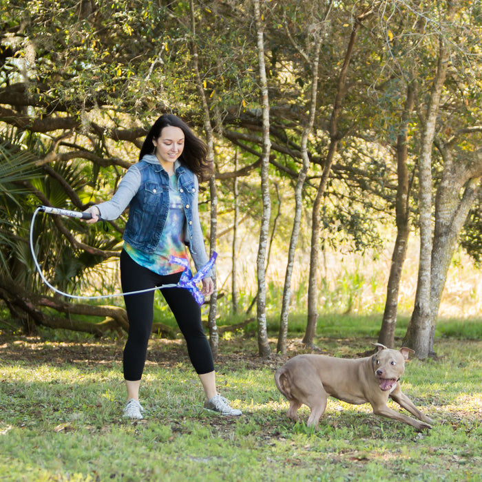 Exercise Training Toy