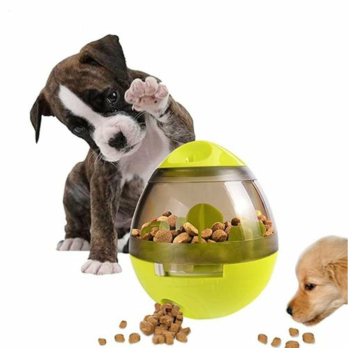 Food Dispensor