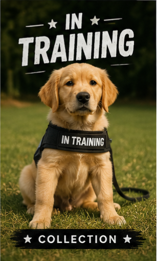 In Training Collection