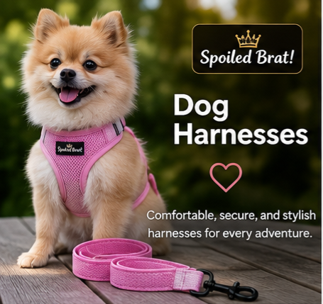 Dog Harnesses