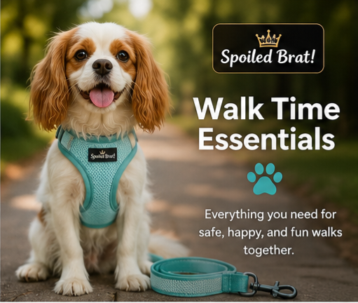 Walk Time Essentials