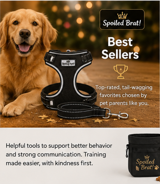 Best Sellers