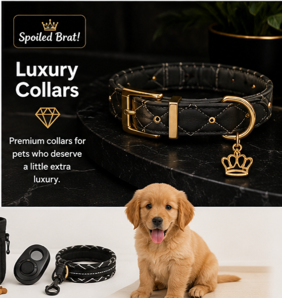 Luxury Collars