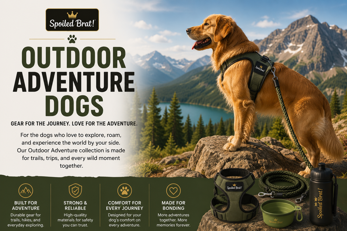 Outdoor Adventure Dogs