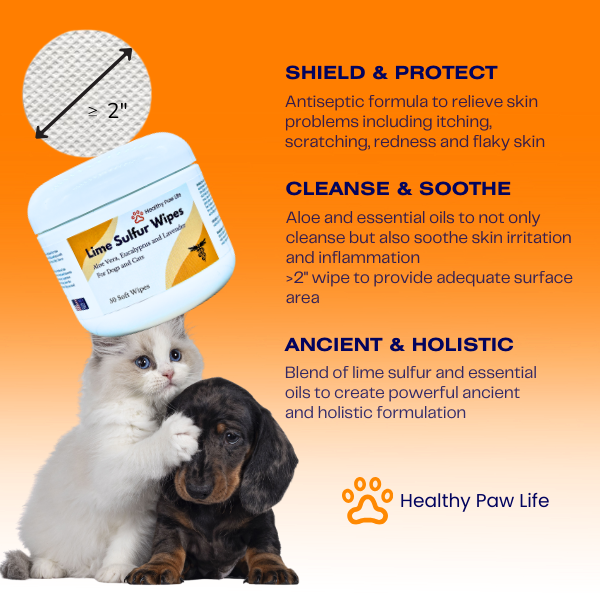 Spoiled Brat™ LimeClear Medicated Lime Sulfur Pet Wipes - view 2 | Spoiled Brat