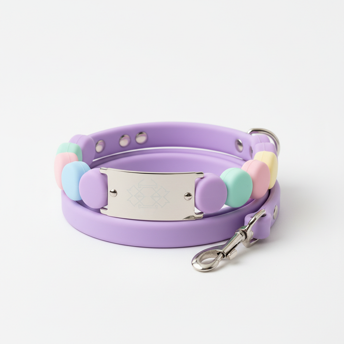 Spoiled Brat MacaTag silicone macaroon pastel waterproof personalized dog collar and leash set