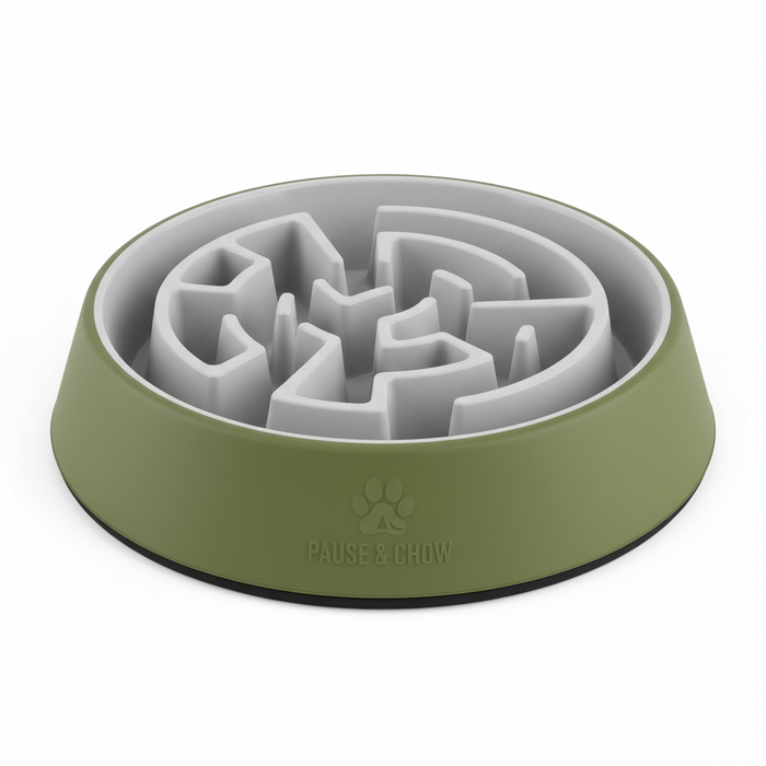 Spoiled Brat™ SlowDown Anti-Bloat Dog Slow Feeder Bowl | Spoiled Brat