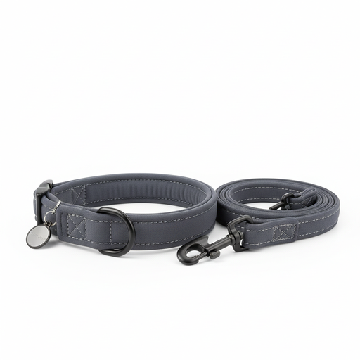 Spoiled Brat SportTag neoprene padded reflective personalized dog collar and leash set