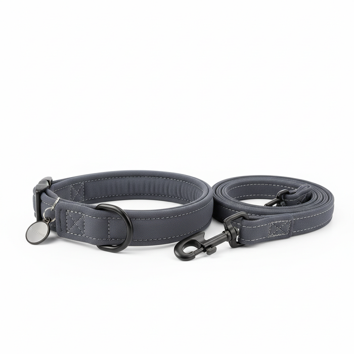 Spoiled Brat SportTag neoprene padded reflective personalized dog collar and leash set