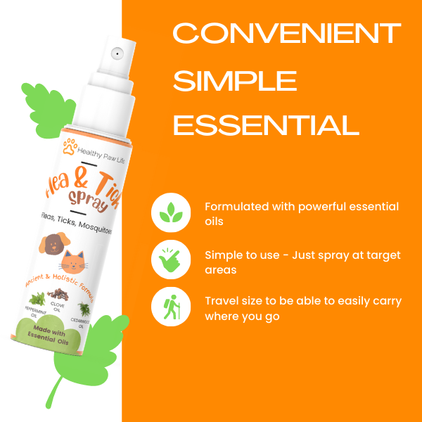 Spoiled Brat™ PlantGuard Flea & Tick Shampoo – Plant Powered - view 5 | Spoiled Brat