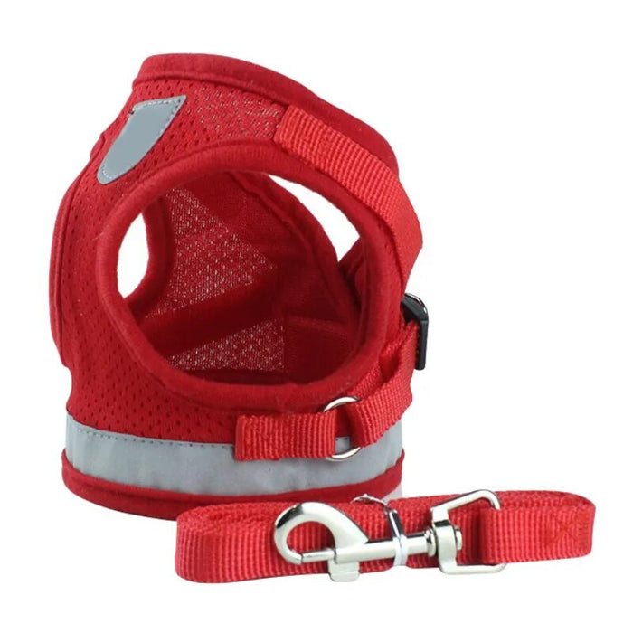Dog Chest Harness With Reflective Leash
