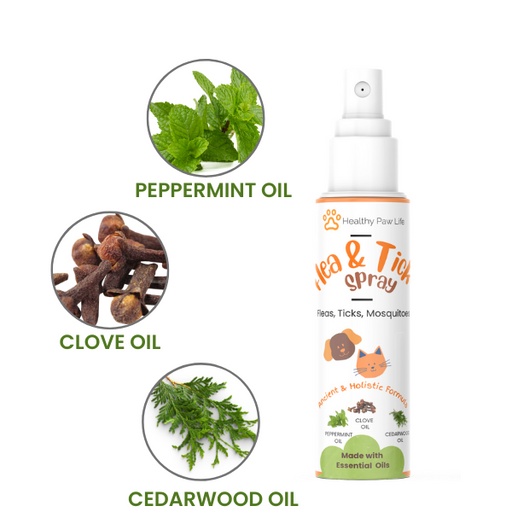 Spoiled Brat™ PlantGuard Flea & Tick Shampoo – Plant Powered | Spoiled Brat