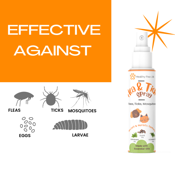 Spoiled Brat™ PlantGuard Flea & Tick Shampoo – Plant Powered - view 4 | Spoiled Brat