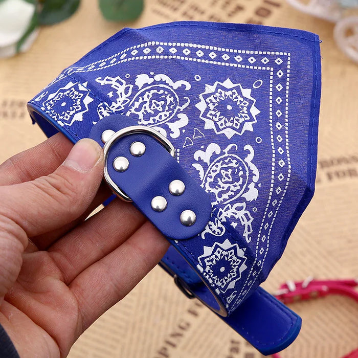 Spoiled Brat™ BellaBand Designer Scarf Collar