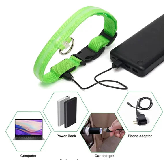 Spoiled Brat™ LunaGlow Luxury LED Safety Collar