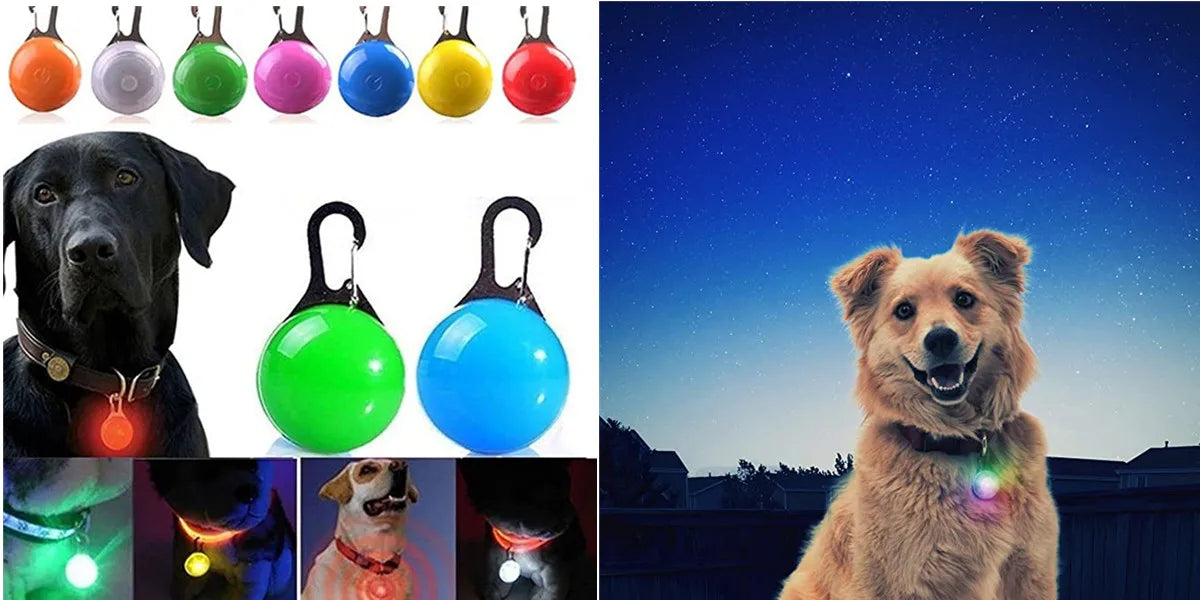 Spoiled Brat™ GlowGuard USB Rechargeable LED Collar