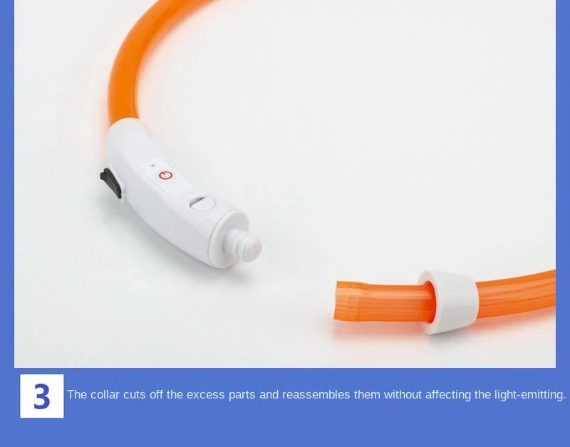 Spoiled Brat™ GlowGuard USB Rechargeable LED Collar
