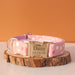 Spoiled Brat™ Personalized Puppy ID Collar Bands – Whelping Set - view 8 | Spoiled Brat