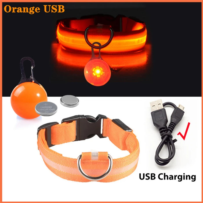 Spoiled Brat™ LunaGlow Luxury LED Safety Collar