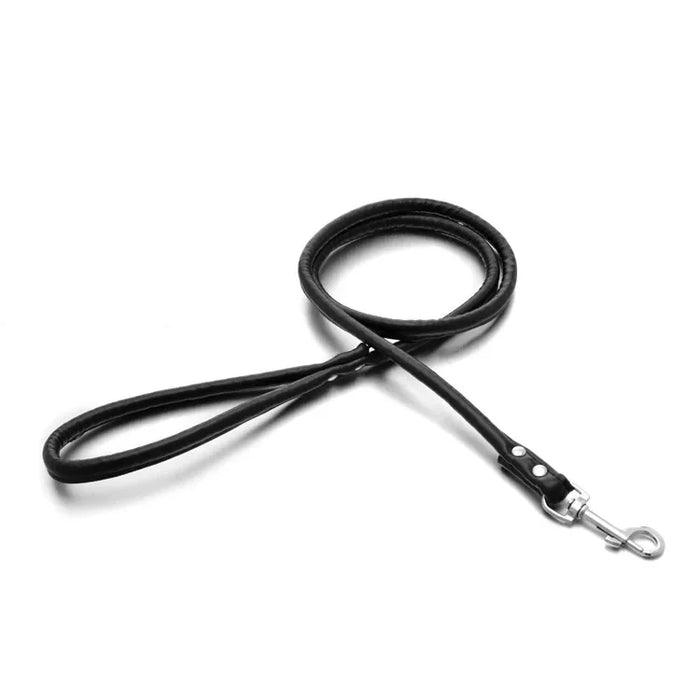 Spoiled Brat™ Adventure Pup Leash