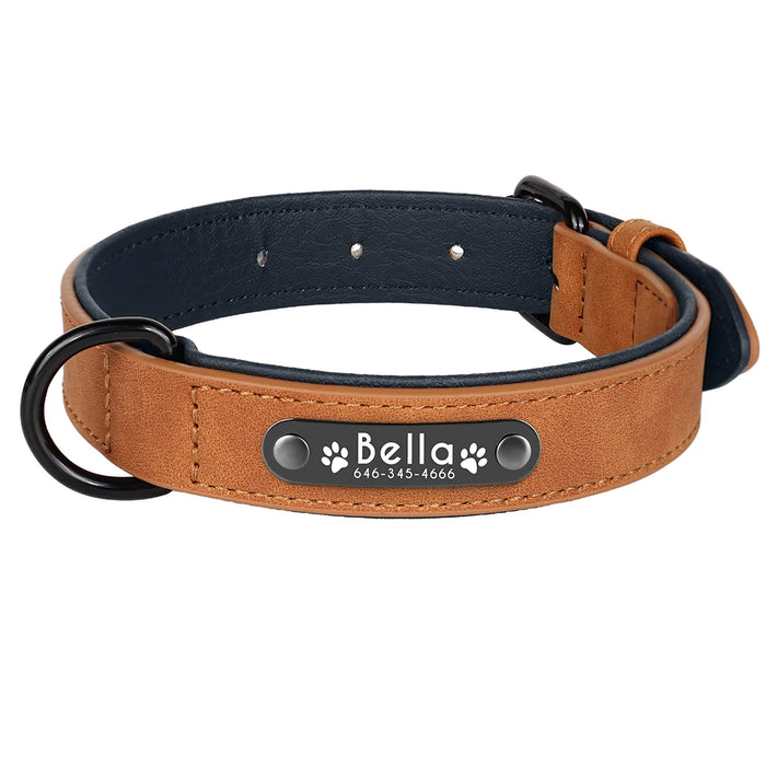 Spoiled Brat™ Personalized Dog Collar – Soft Padded Engraved ID Collar