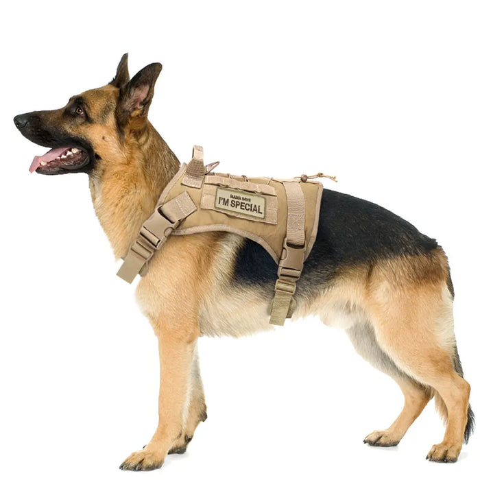 Spoiled Brat™ Tactical Dog Harness Patches – Funny Velcro Tags