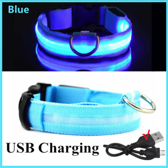 Spoiled Brat™ GlowGuard USB Rechargeable LED Collar