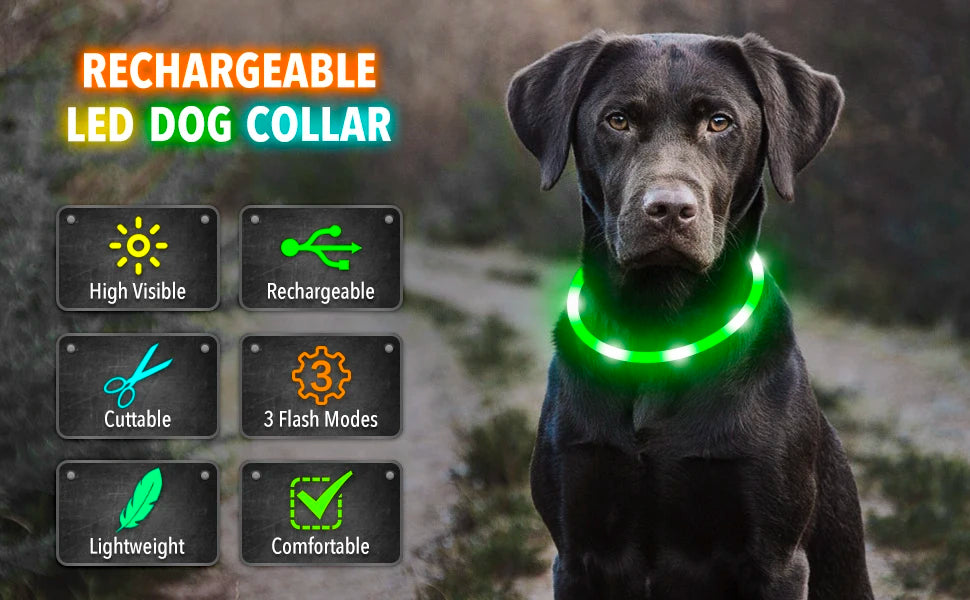 Spoiled Brat™ GlowGuard USB Rechargeable LED Collar