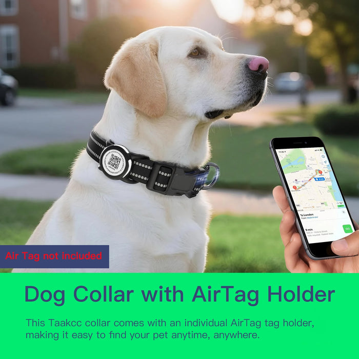 Spoiled Brat™ Signature Personalized Dog Collar