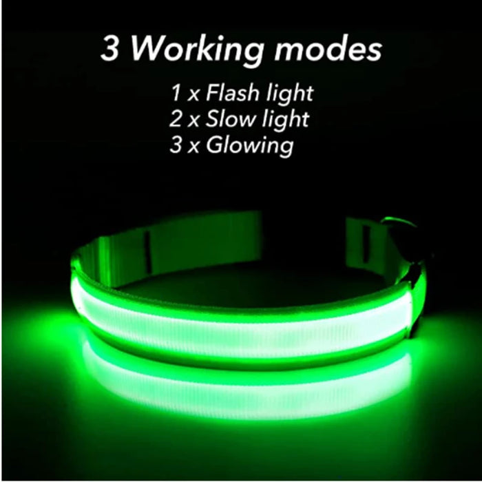 Spoiled Brat™ GlowGuard USB Rechargeable LED Collar