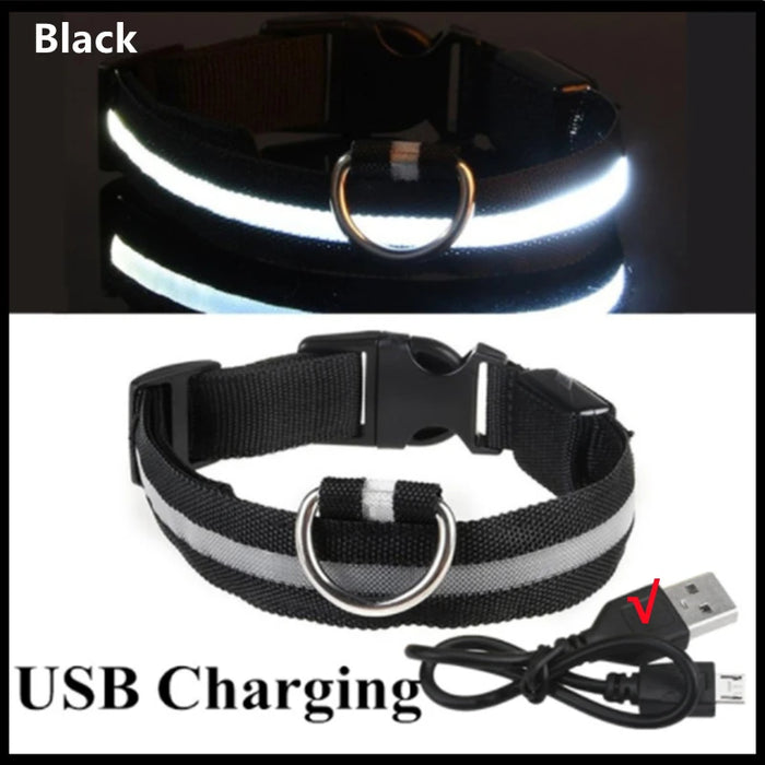 Spoiled Brat™ GlowGuard USB Rechargeable LED Collar