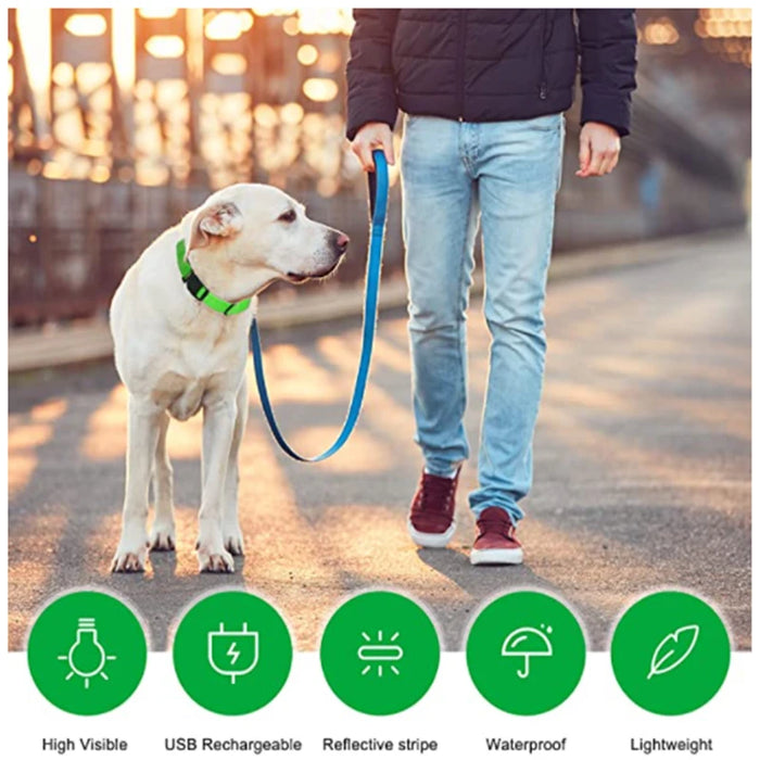 Spoiled Brat™ LunaGlow Luxury LED Safety Collar