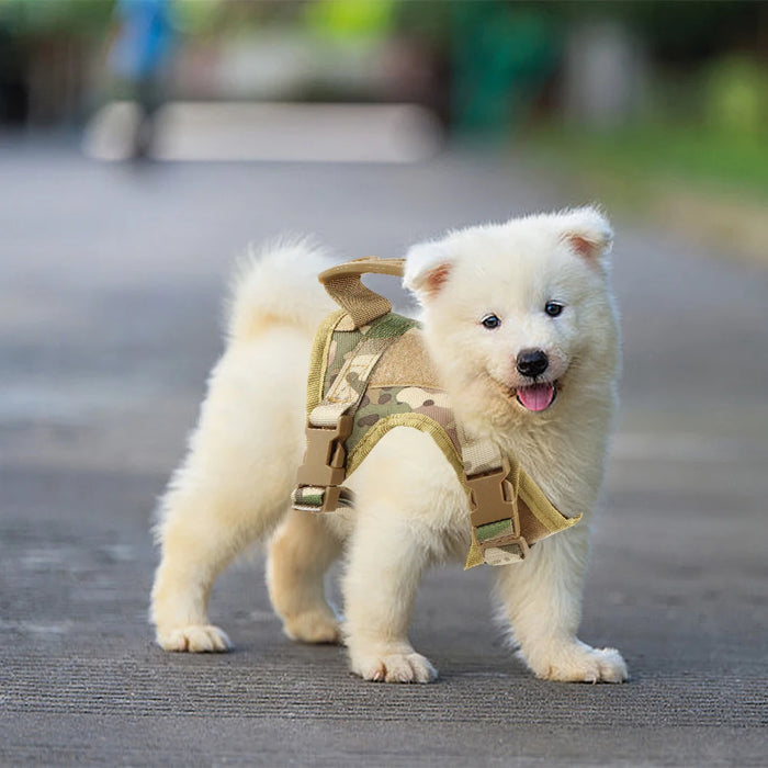 Spoiled Brat™ Tactical Pup Harness Set