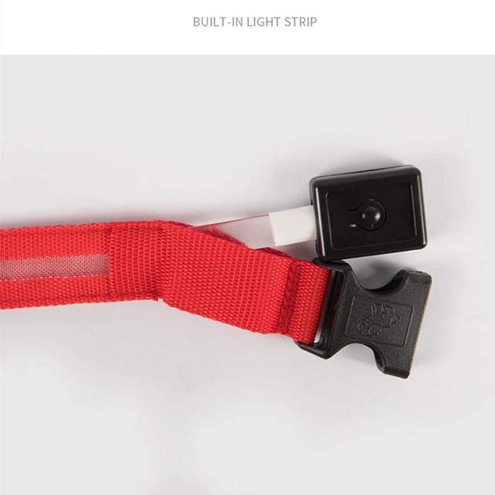 Spoiled Brat™ GlowGuard USB Rechargeable LED Collar