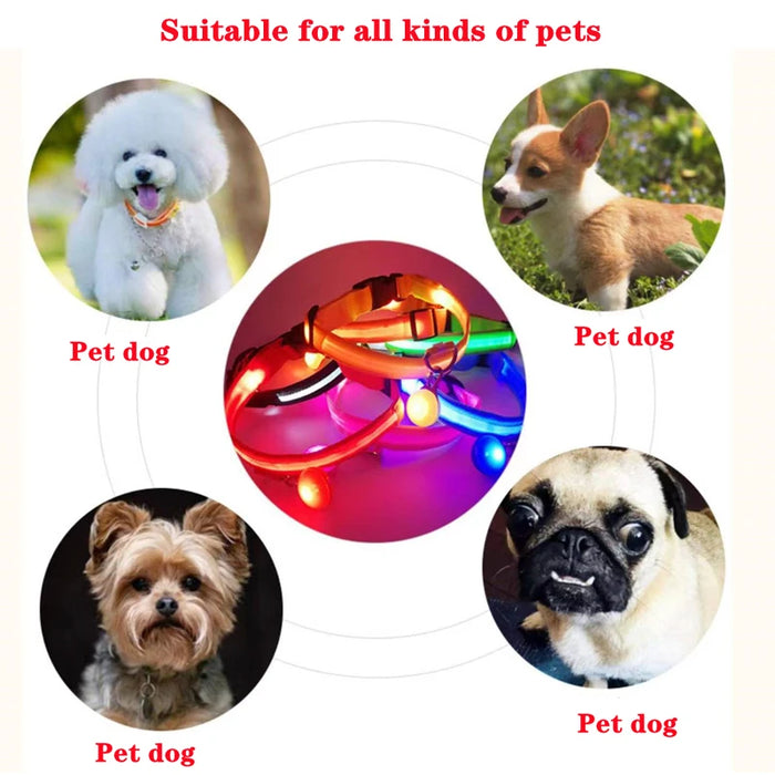 Spoiled Brat™ LunaGlow Luxury LED Safety Collar