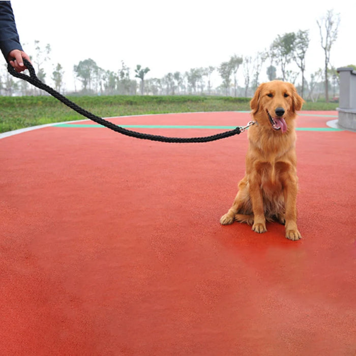 Spoiled Brat™ Braided Training & Walking Dog Leash