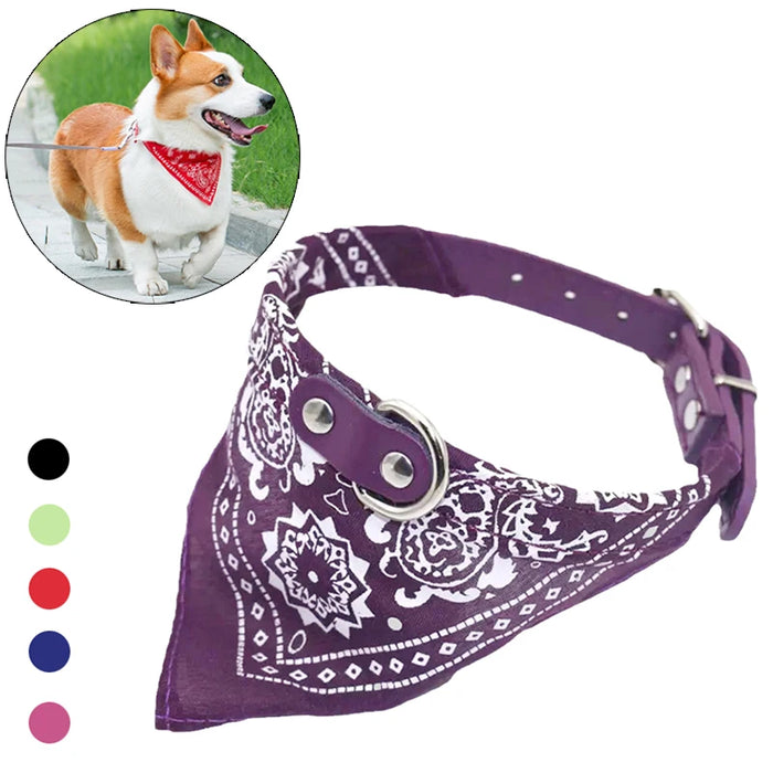 Spoiled Brat™ BellaBand Designer Scarf Collar
