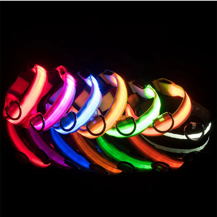 Spoiled Brat™ LunaGlow Luxury LED Safety Collar