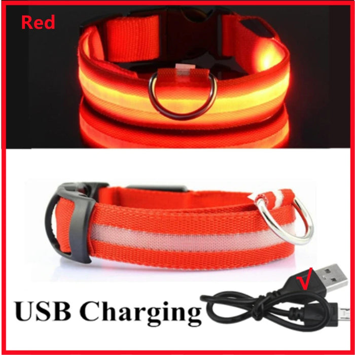 Spoiled Brat™ GlowGuard USB Rechargeable LED Collar