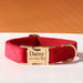 Spoiled Brat™ Personalized Dog Collar – Custom Engraved ID - view 10 | Spoiled Brat