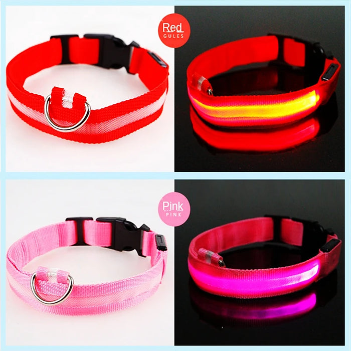 Spoiled Brat™ GlowGuard USB Rechargeable LED Collar