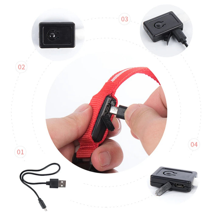 Spoiled Brat™ GlowGuard USB Rechargeable LED Collar