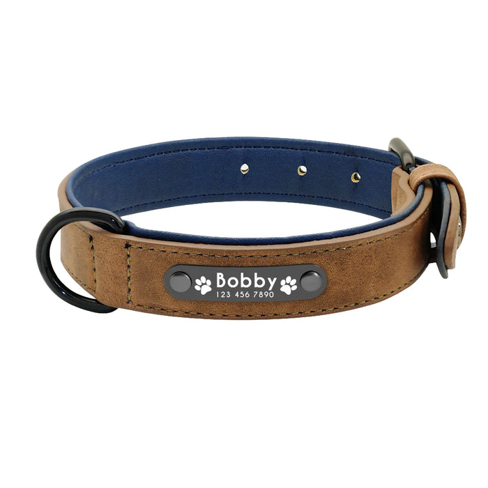 Spoiled Brat™ Personalized Dog Collar – Soft Padded Engraved ID Collar