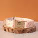 Spoiled Brat™ Personalized Puppy ID Collar Bands – Whelping Set - view 6 | Spoiled Brat