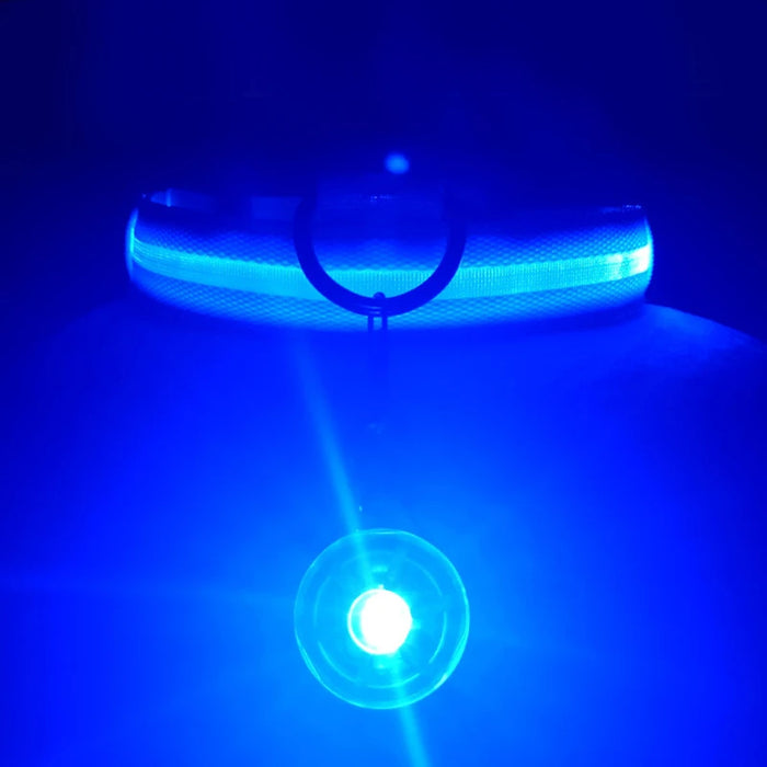 Spoiled Brat™ LunaGlow Luxury LED Safety Collar