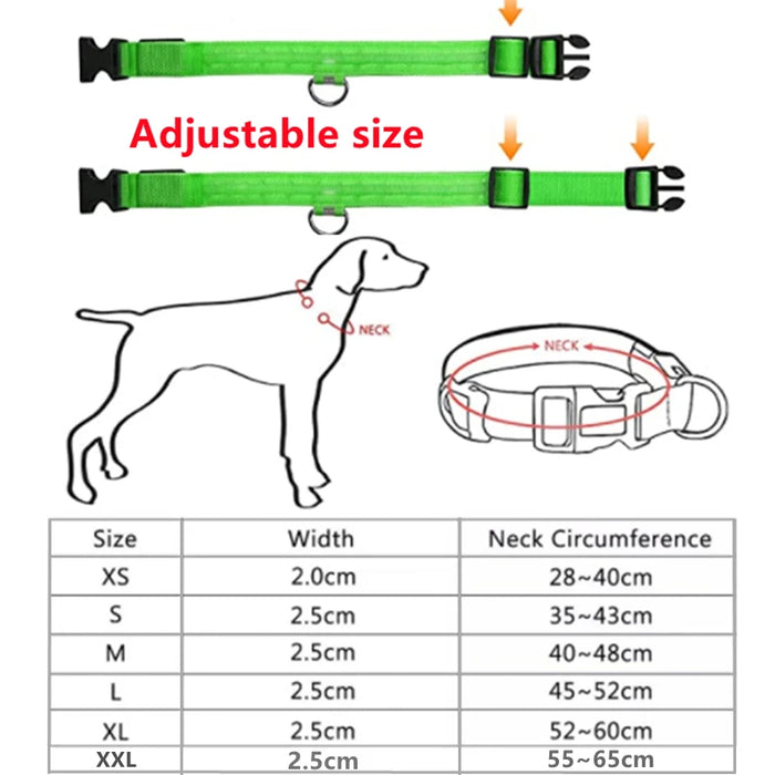 Spoiled Brat™ GlowGuard USB Rechargeable LED Collar