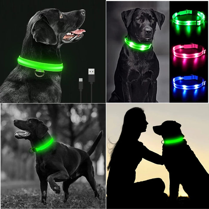 Spoiled Brat™ LunaGlow Luxury LED Safety Collar